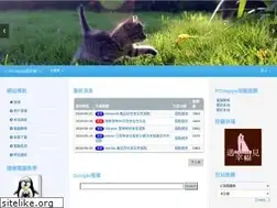 Sites similar to pchappy.tw
