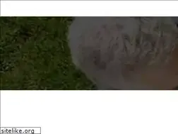 Sites similar to pclaeys.be