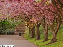 Sites similar to pcmbrokers.com