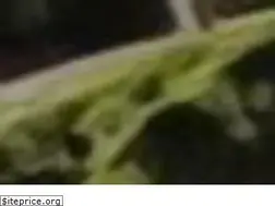 Sites similar to pdlcigarettepapers.com
