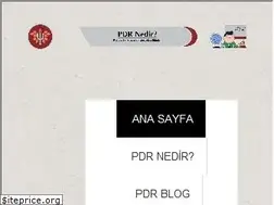 Sites similar to pdrnedir.com