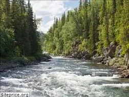 Sites similar to peacefulcurrentsradio.com