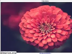 Sites similar to peaceticket.com