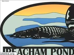 Sites similar to peachampondassociation.org