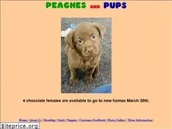 Sites similar to peachesandpups.com