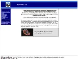 Sites similar to peakconsultinginc.com