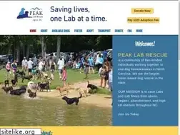 Sites similar to peaklabrescue.com