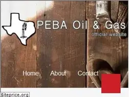 Sites similar to pebainc.com