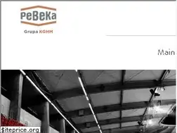 Sites similar to pebeka.pl