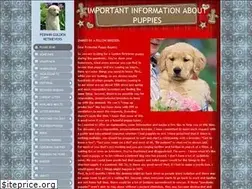 Sites similar to pebwin.com