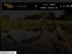 Sites similar to pecacenter.hu