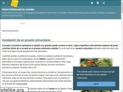 Sites similar to peces-tropicales.idoneos.com