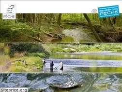 Sites similar to peche-54.fr