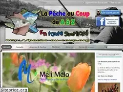 Sites similar to peche-au-coup.org