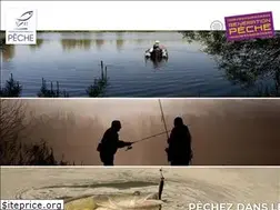 Sites similar to peche41.fr