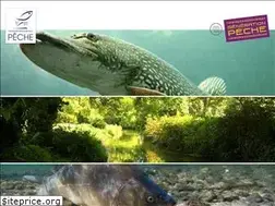 Sites similar to peche91.com