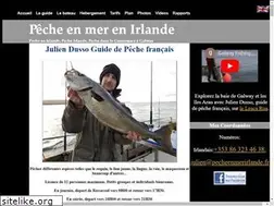 Sites similar to pecheenmerirlande.fr