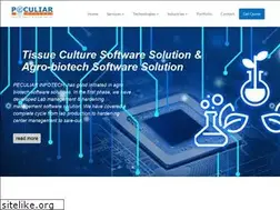 Sites similar to peculiarinfotech.com