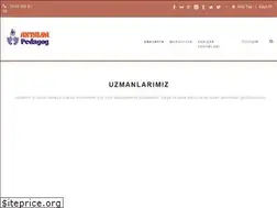 Sites similar to pedagogantalya.com