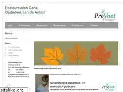 Sites similar to pedicuresaloncarla.nl