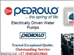 Sites similar to pedrollopumps.com