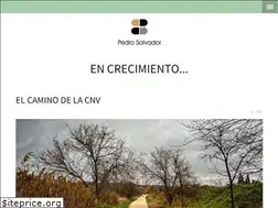 Sites similar to pedrosalvador.es