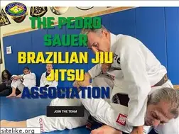 Sites similar to pedrosauer.com