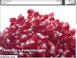 Sites similar to peelapom.com
