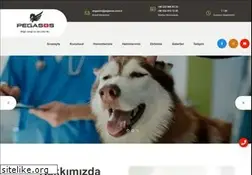Sites similar to pegasos.com.tr