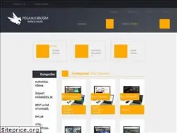 Sites similar to pegasusbilisim.com