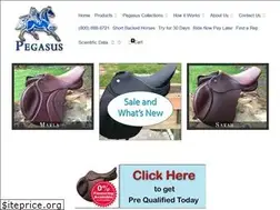Sites similar to pegasusbutterflysaddles.com