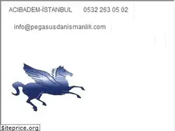 Sites similar to pegasusdanismanlik.com