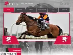 Sites similar to pegus.ie