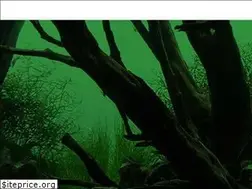 Sites similar to peha68.pl