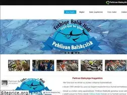 Sites similar to pehlivanbalikcilik.com
