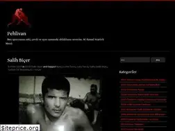 Sites similar to pehlivanblog.wordpress.com