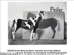 Sites similar to peiler.org
