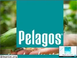Sites similar to pelagos.com.tr