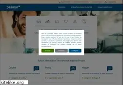 Sites similar to pelayo.com