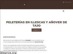 Sites similar to peleteriasgarcipiel.com