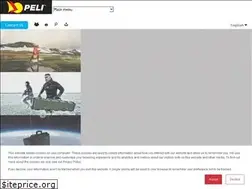 Sites similar to pelicatalogue.com