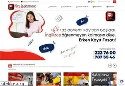 Sites similar to pelindilokullari.com
