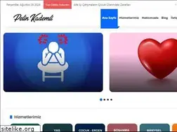 Sites similar to pelinkademli.com