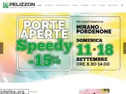 Sites similar to pelizzon.it