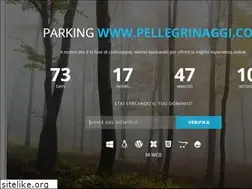 Sites similar to pellegrinaggi.com