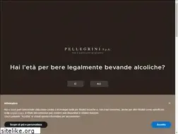 Sites similar to pellegrinispa.net