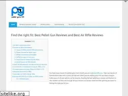 Sites similar to pelletguns101.com