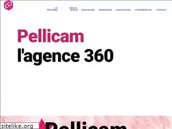 Sites similar to pellicam.fr
