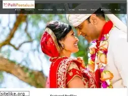 Sites similar to pellipeetalu.in