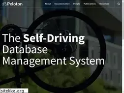 Sites similar to pelotondb.io